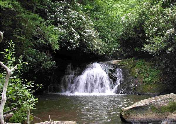 31 Acres of Land with Home for Sale in Suches, Georgia