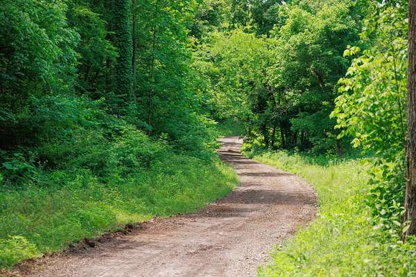 336 Acres of Land for Sale in Beechgrove, Tennessee