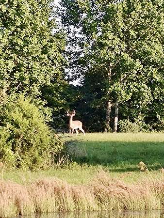 210 Acres of Land for Sale in Beattyville, Kentucky