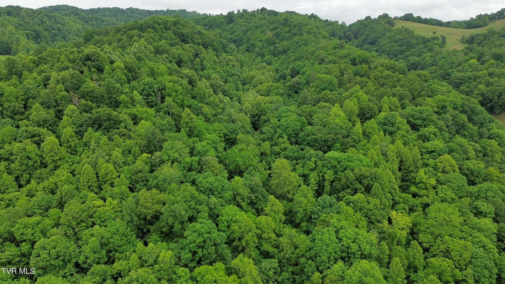 98.4 Acres of Recreational & Residential Land for Sale in Bristol, Virginia
