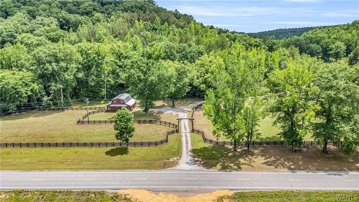 120 Acres of Land for Sale in Beaverton, Alabama