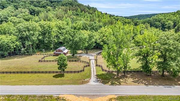 120 Acres of Land for Sale in Beaverton, Alabama