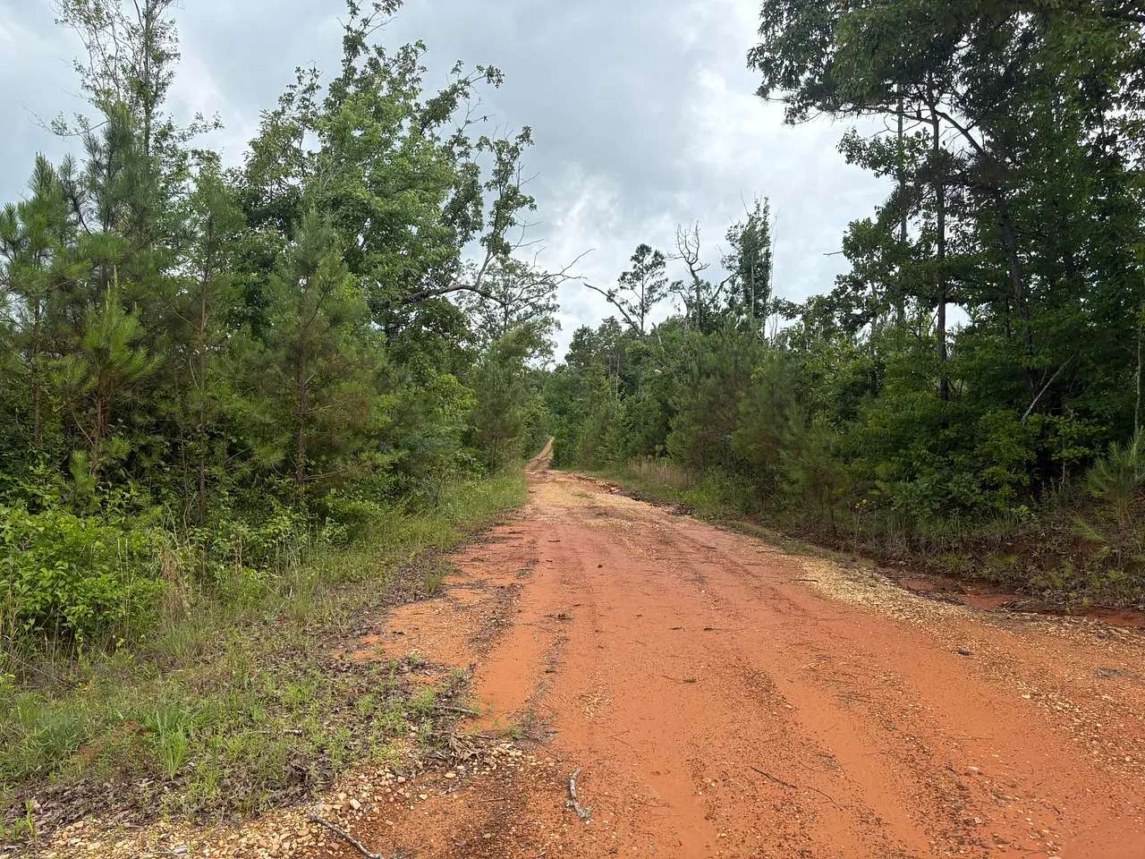 207 Acres of Land for Sale in Smithville, Mississippi