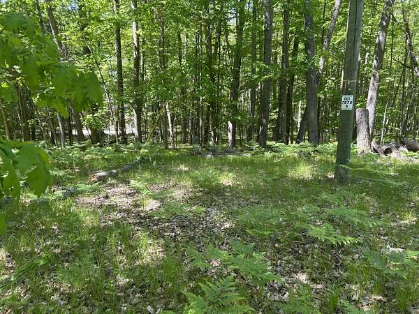 0.48 Acres of Residential Land for Sale in Canadian Lakes, Michigan