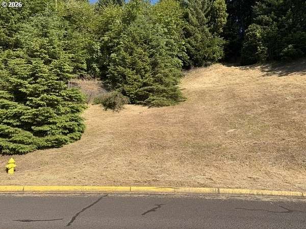 0.19 Acres of Residential Land for Sale in Cottage Grove, Oregon
