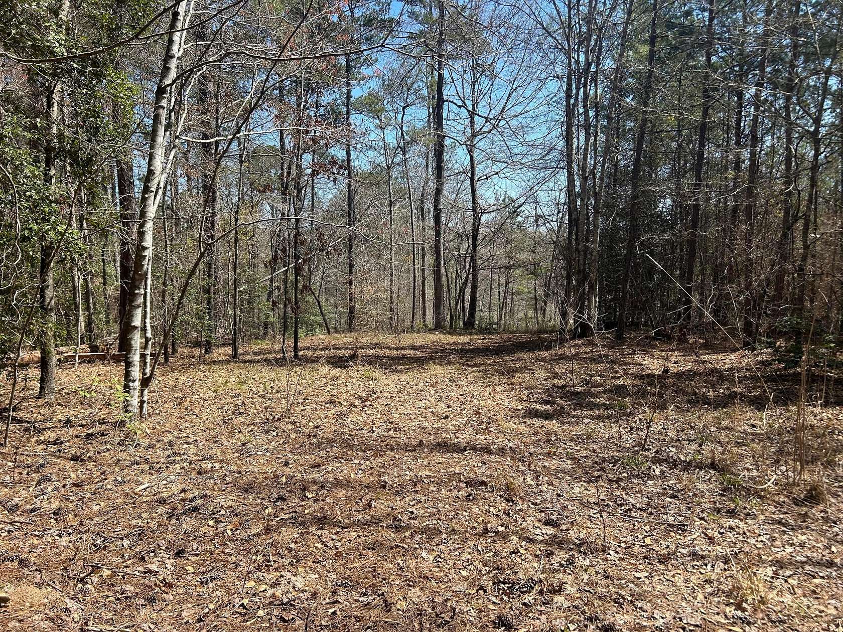 3 Acres of Land for Sale in Double Springs, Alabama