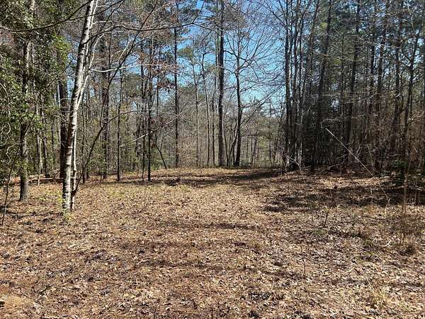 3 Acres of Land for Sale in Double Springs, Alabama