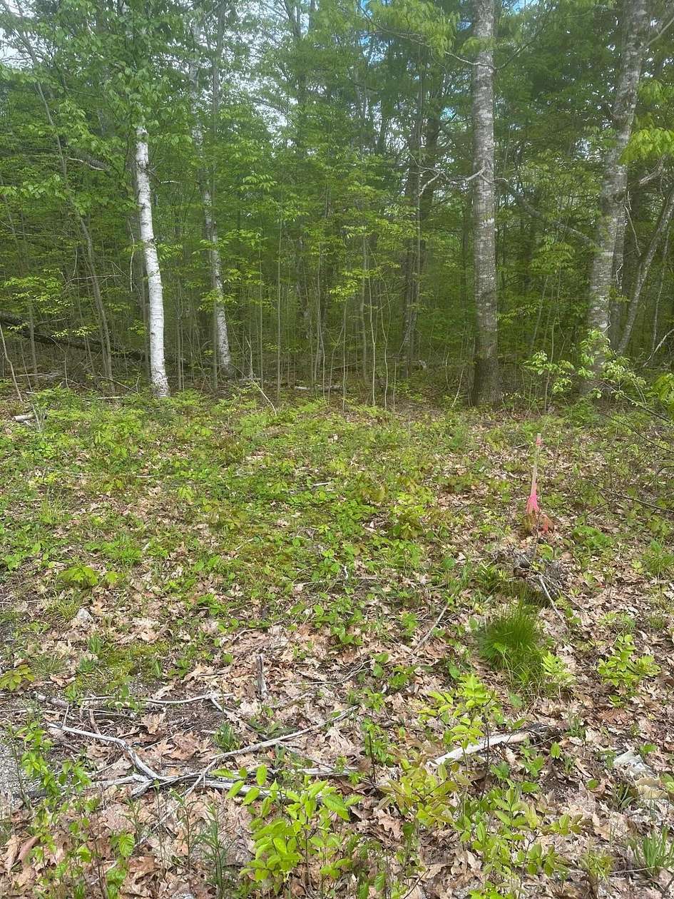 5.8 Acres of Residential Land for Sale in Steuben, Maine