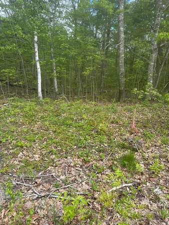 5.8 Acres of Residential Land for Sale in Steuben, Maine