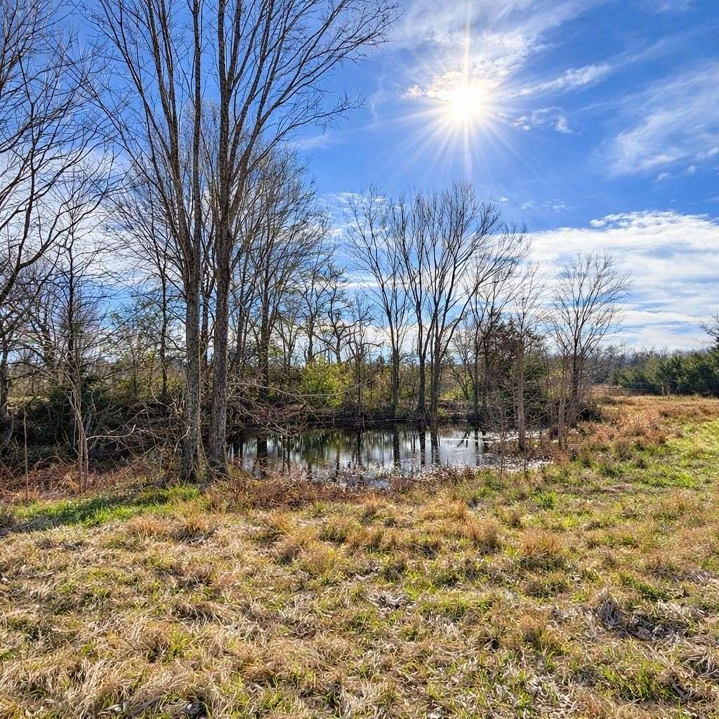 19.2 Acres of Land for Sale in Kemp, Texas