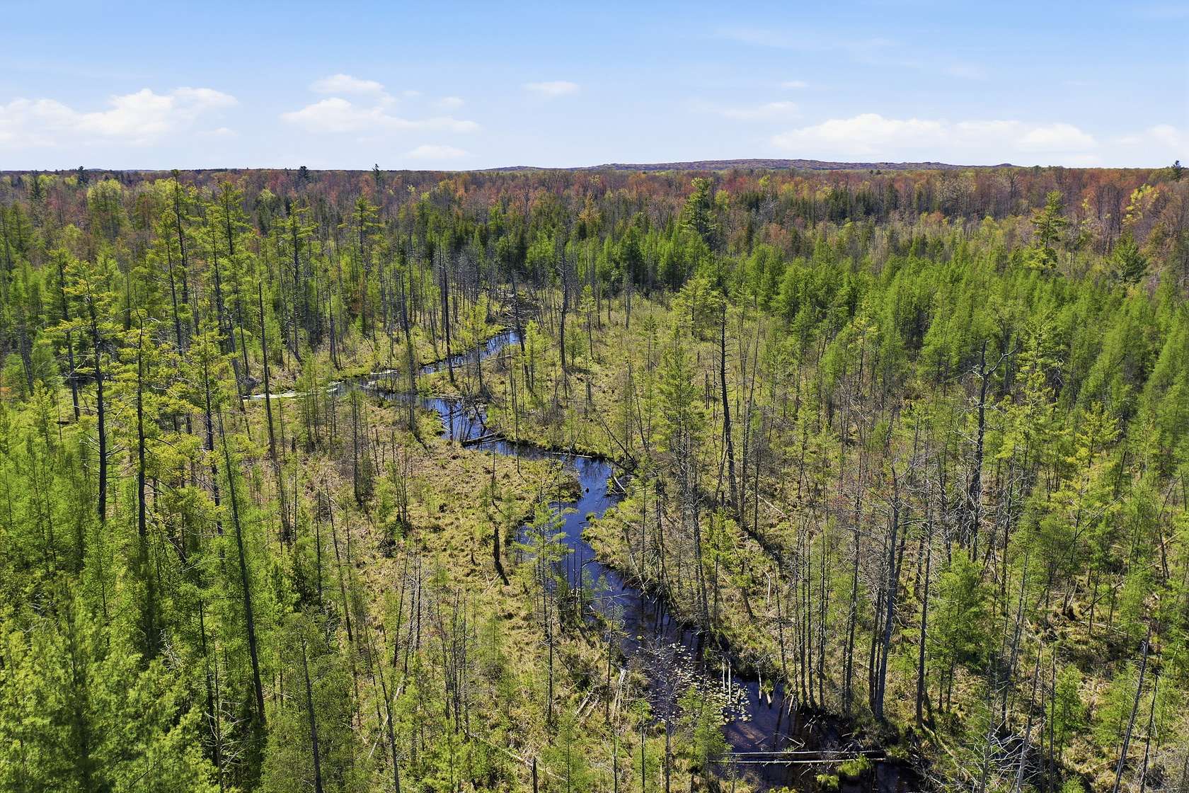 80 Acres of Recreational Land for Sale in White Cloud, Michigan