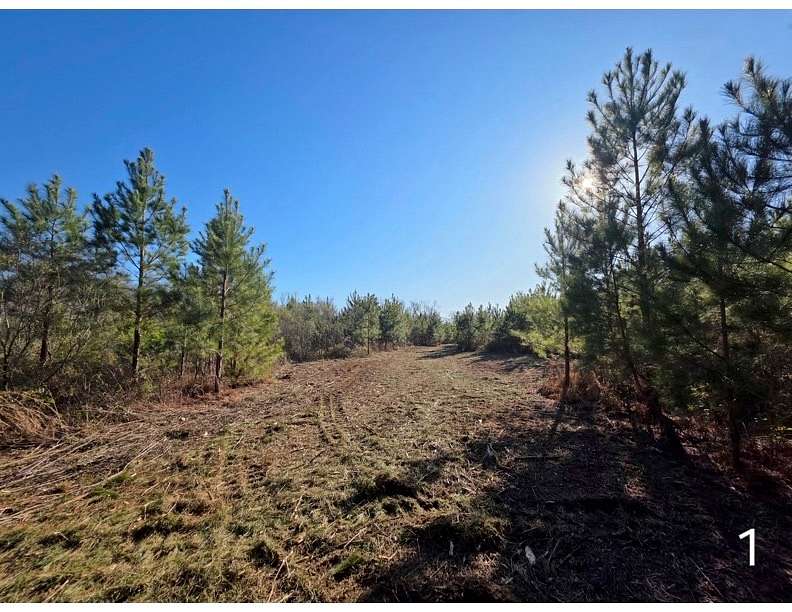 16.5 Acres of Land for Sale in Slocomb, Alabama