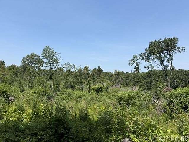 50 Acres of Recreational Land for Sale in DeWitt, Arkansas