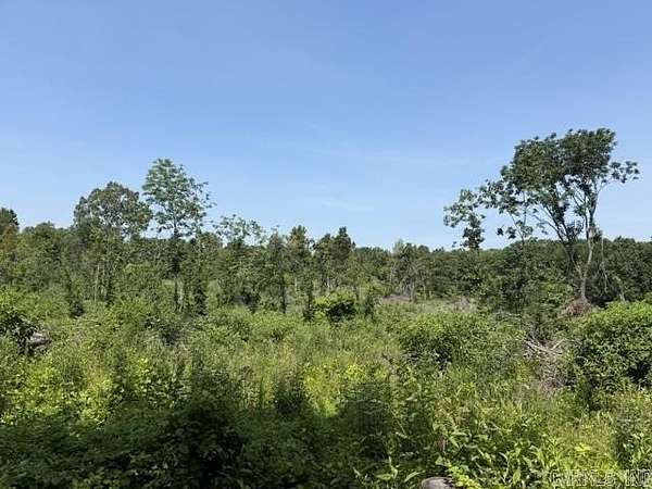 50 Acres of Recreational Land for Sale in DeWitt, Arkansas