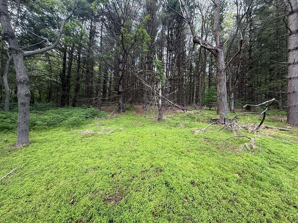 1.18 Acres of Residential Land for Sale in Laurel Fork, Virginia