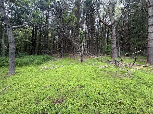 1.18 Acres of Residential Land for Sale in Laurel Fork, Virginia