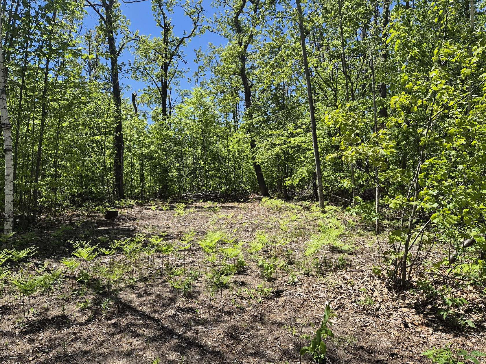 Land for Sale in Gaylord, Michigan
