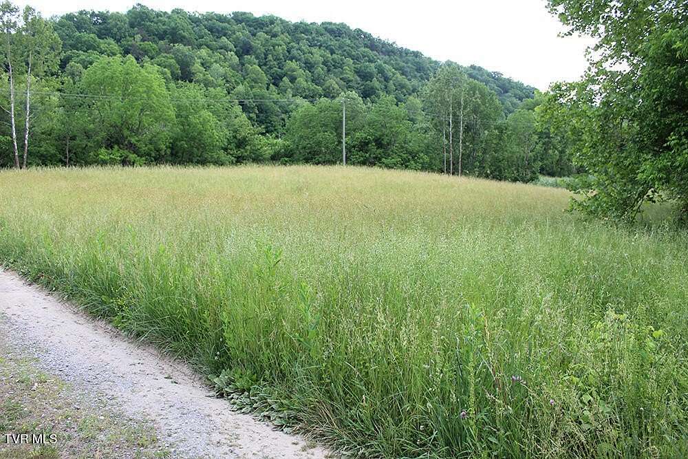 138 Acres of Land for Auction in Clinchport, Virginia
