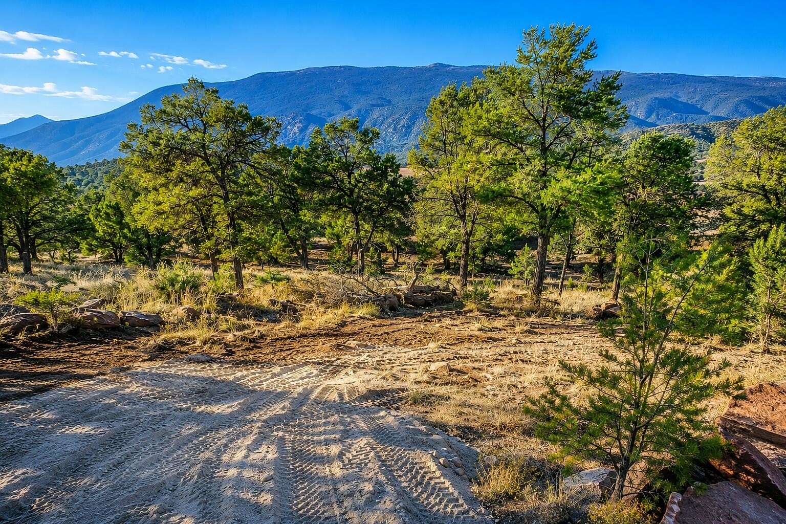 3.13 Acres of Residential Land for Sale in Tijeras, New Mexico