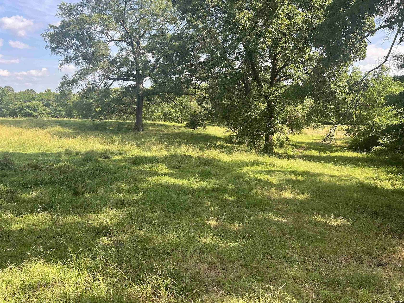8 Acres of Residential Land for Sale in Glenwood, Arkansas