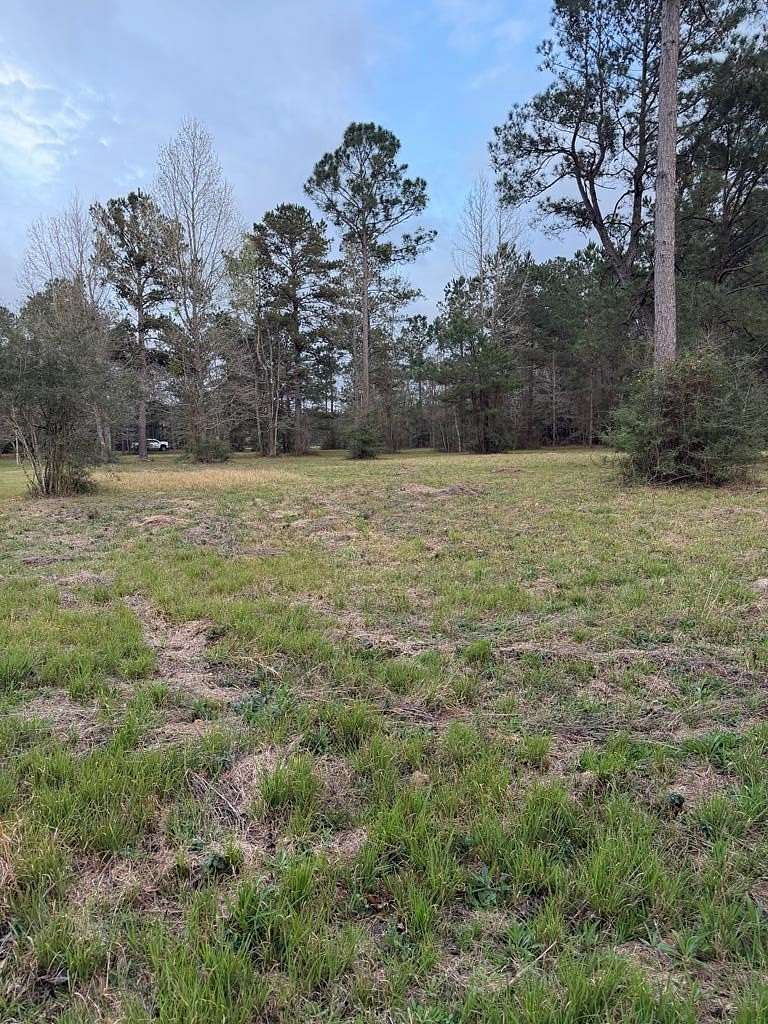 1.83 Acres of Residential Land for Sale in Carriere, Mississippi