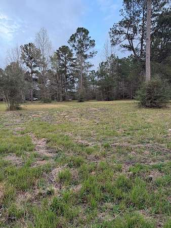 1.83 Acres of Residential Land for Sale in Carriere, Mississippi