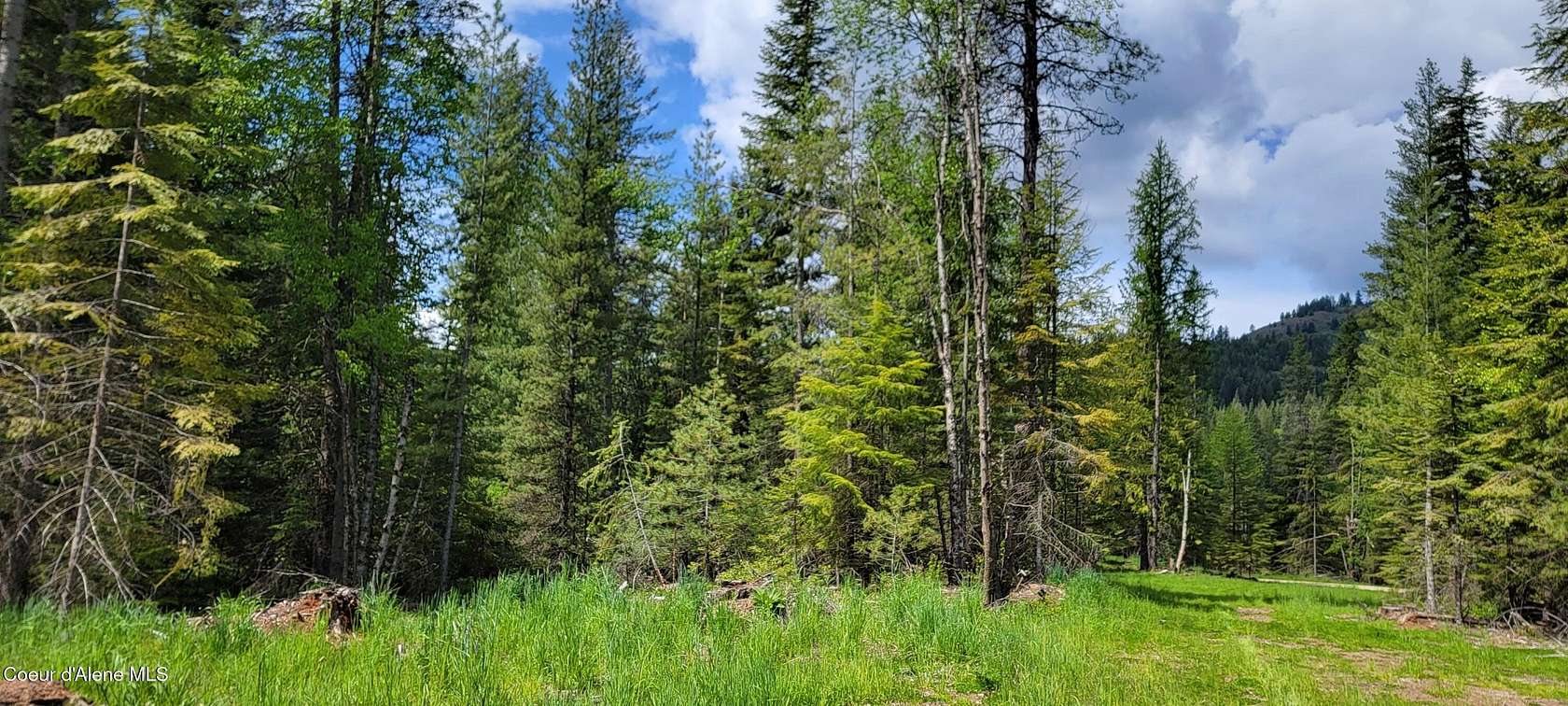 20 Acres of Recreational Land for Sale in Priest River, Idaho