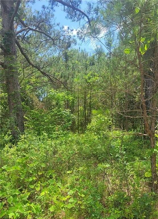 9.19 Acres of Residential Land for Sale in Auburn, Alabama