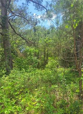 9.19 Acres of Residential Land for Sale in Auburn, Alabama