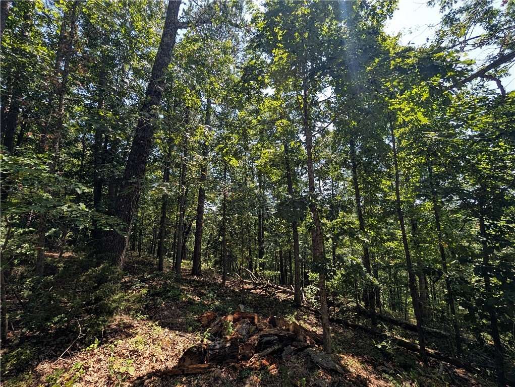 0.36 Acres of Residential Land for Sale in Rogers, Arkansas