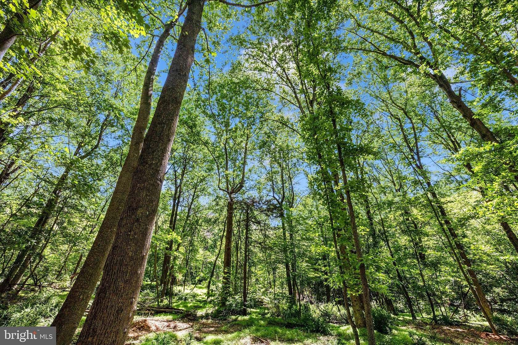 9.17 Acres of Residential Land for Sale in Knoxville, Maryland