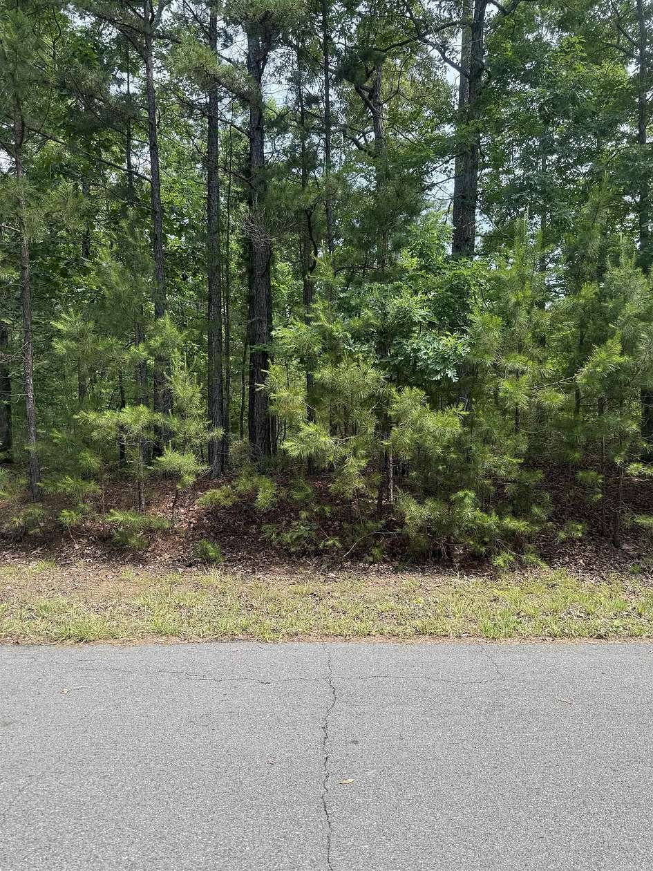 0.22 Acres of Residential Land for Sale in Hot Springs Village, Arkansas