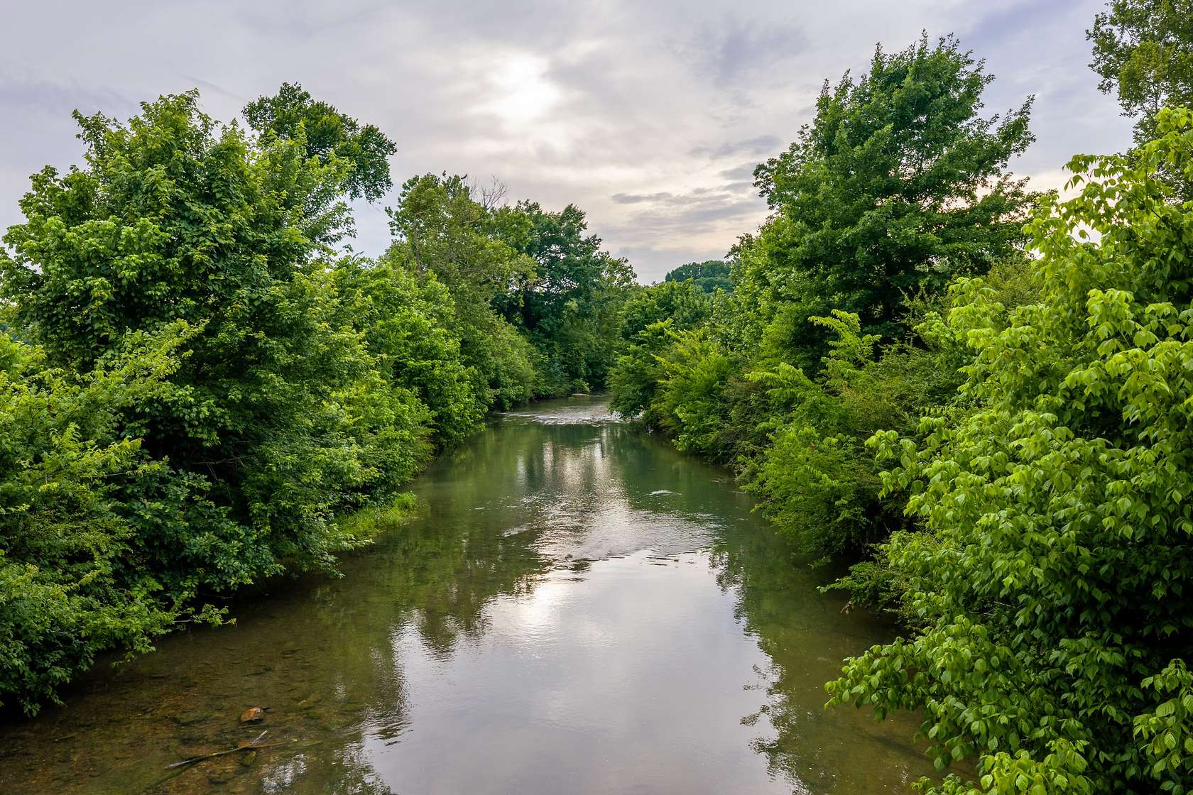 170 Acres of Land for Sale in Cornersville, Tennessee