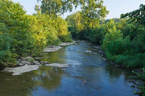 170 Acres of Land for Sale in Cornersville, Tennessee