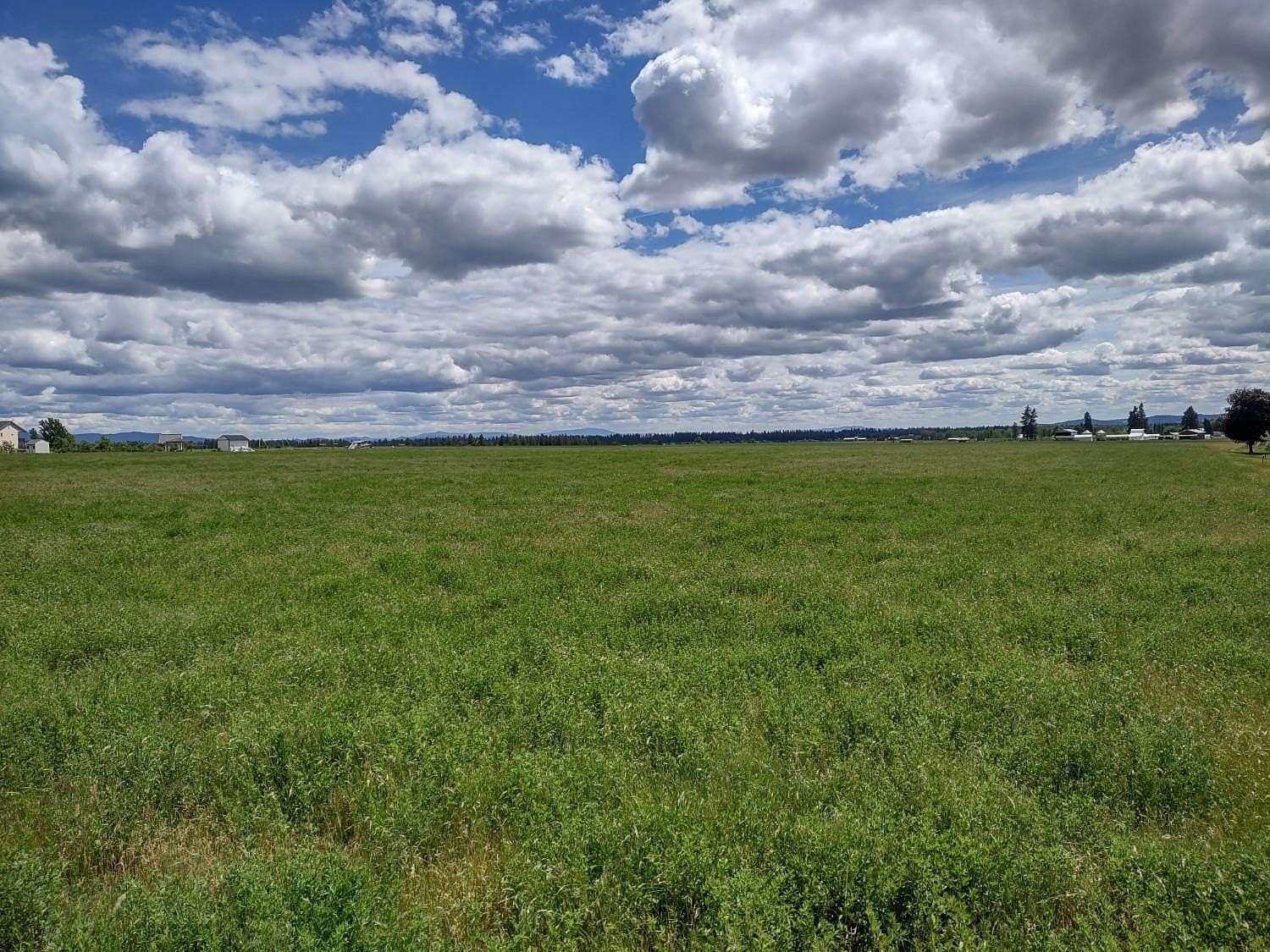 16.7 Acres of Land for Sale in Deer Park, Washington