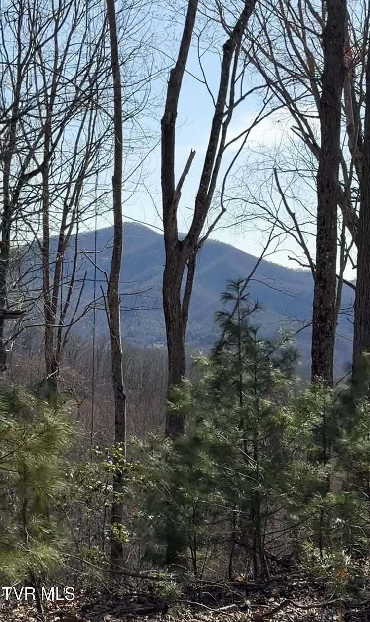 24.7 Acres of Recreational & Residential Land for Sale in Butler, Tennessee