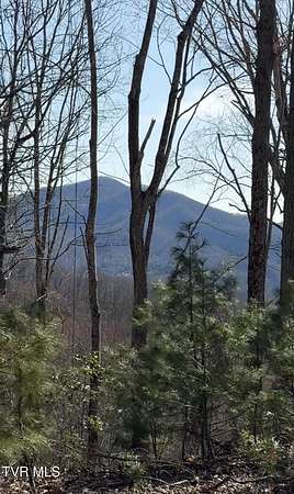 24.7 Acres of Recreational & Residential Land for Sale in Butler, Tennessee