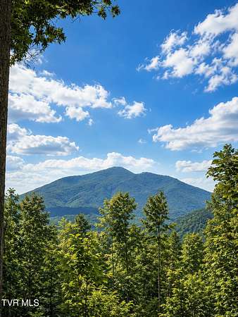 24.7 Acres of Recreational & Residential Land for Sale in Butler, Tennessee