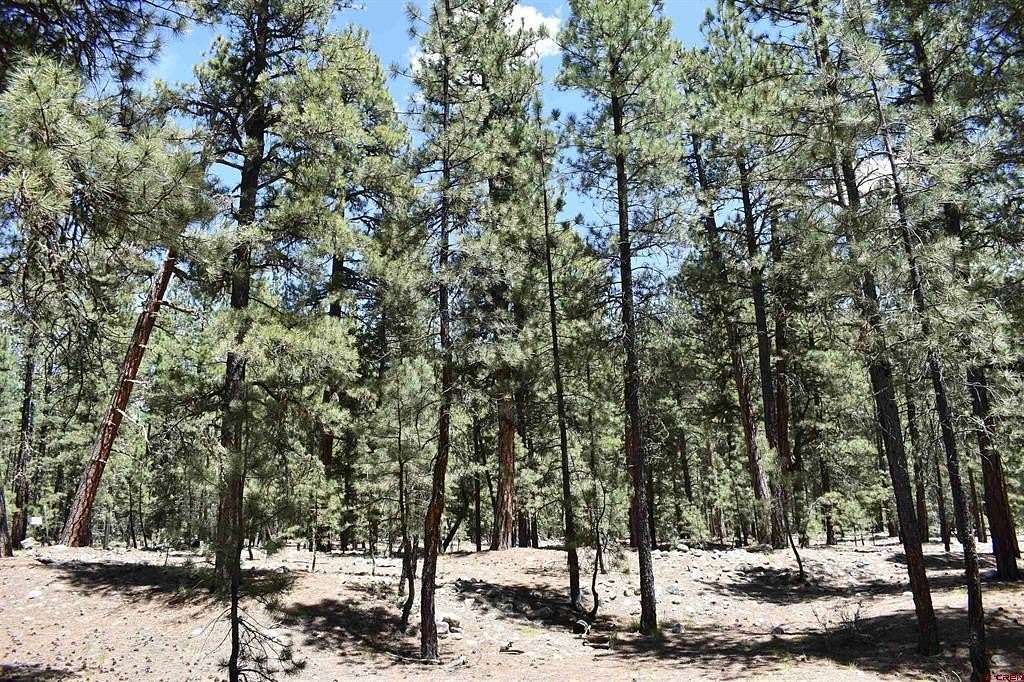 0.49 Acres of Land for Sale in Bayfield, Colorado