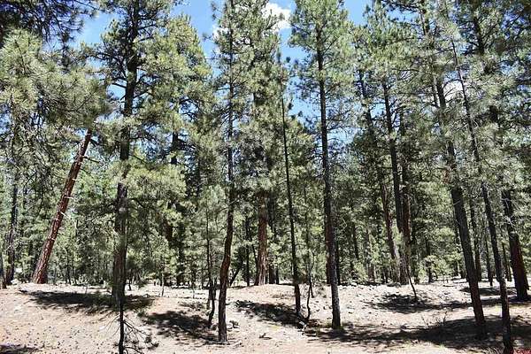 0.49 Acres of Land for Sale in Bayfield, Colorado