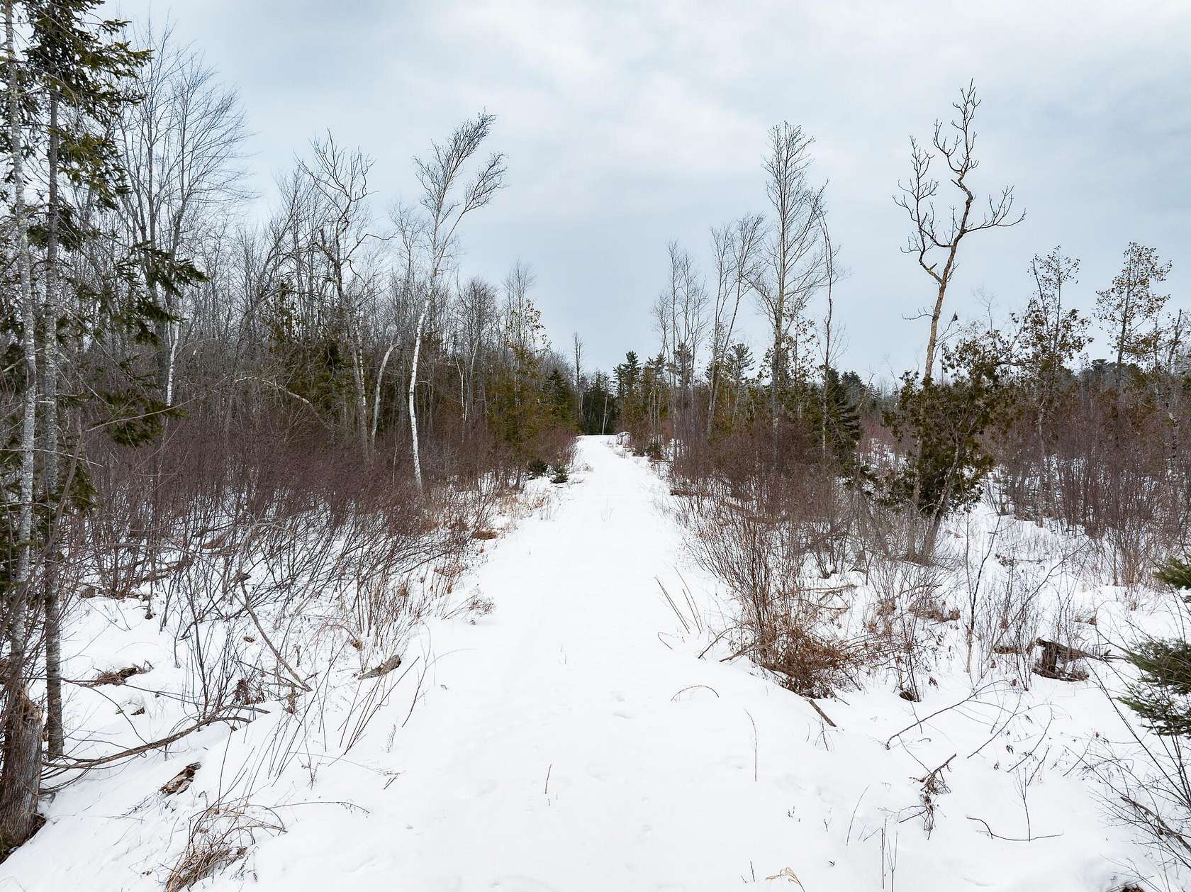 15 Acres of Land for Sale in Hermon, Maine