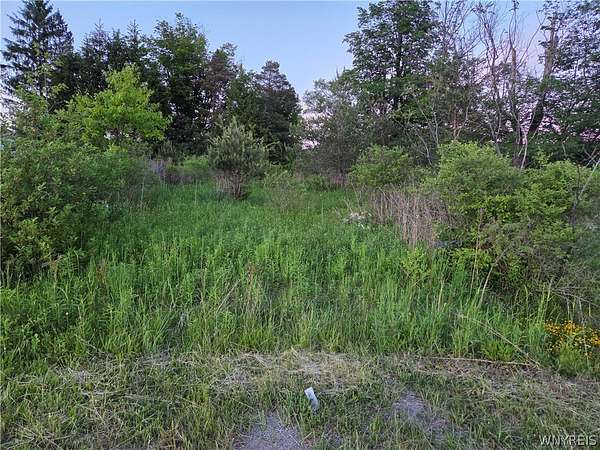 1 Acre of Residential Land for Sale in Ellicottville, New York