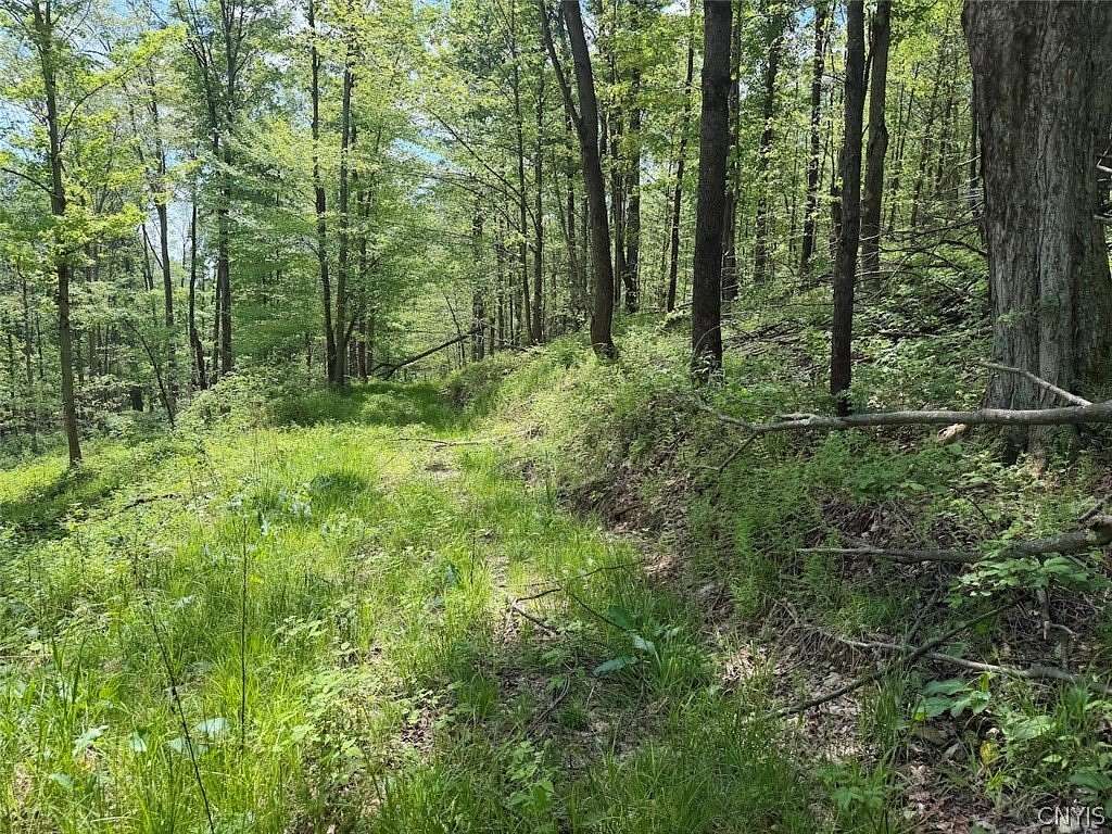 23 Acres of Recreational & Residential Land for Sale in South Dayton, New York