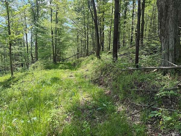 23 Acres of Recreational & Residential Land for Sale in South Dayton, New York