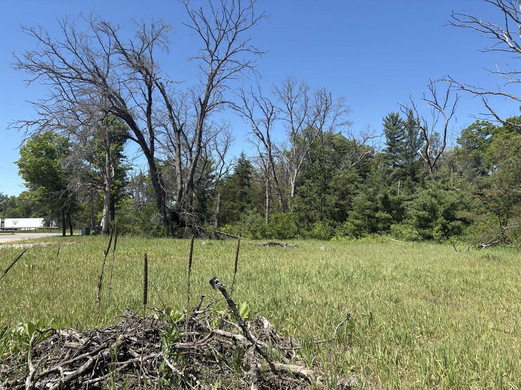 1.65 Acres of Mixed-Use Land for Sale in Baldwin, Michigan