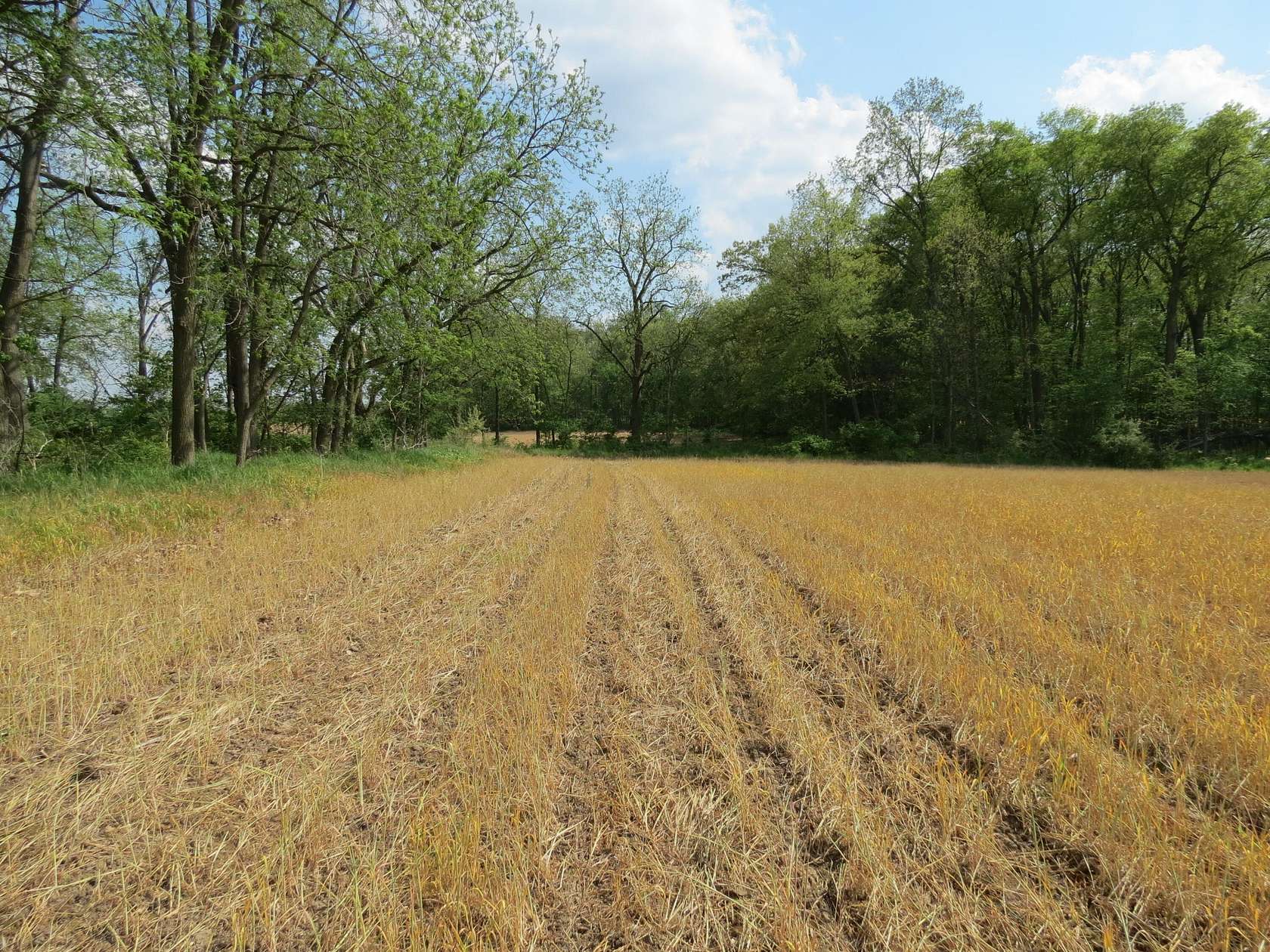 38 Acres of Land for Sale in Jackson, Michigan