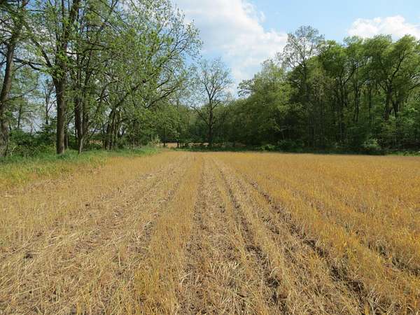 38 Acres of Land for Sale in Jackson, Michigan