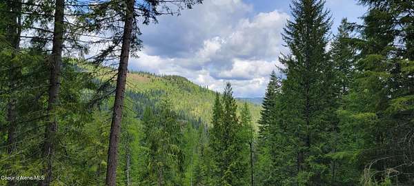 20 Acres of Recreational Land for Sale in Priest River, Idaho