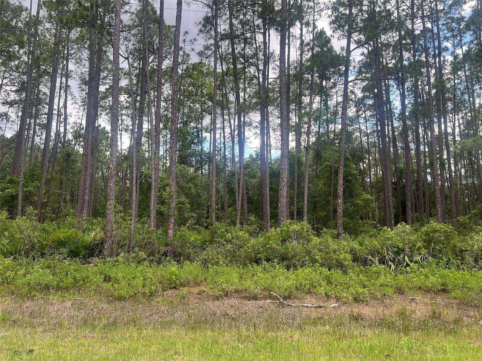0.23 Acres of Residential Land for Sale in Georgetown, Florida
