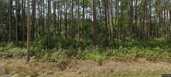 0.23 Acres of Residential Land for Sale in Georgetown, Florida